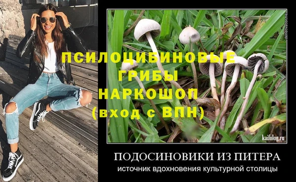 хмурый Покровск