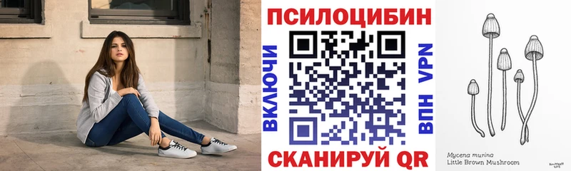 Галлюциногенные грибы GOLDEN TEACHER Купить где Родники